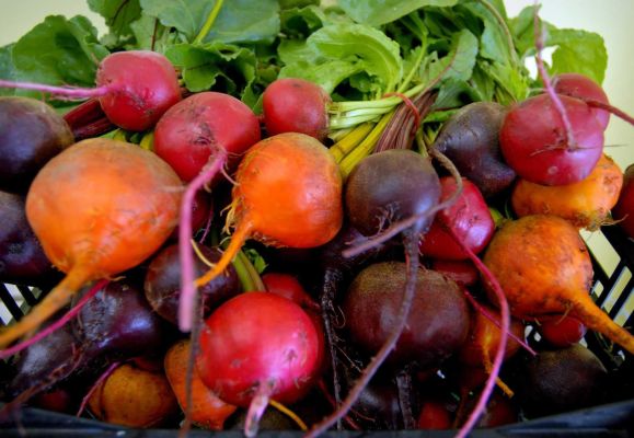 colored-beets
